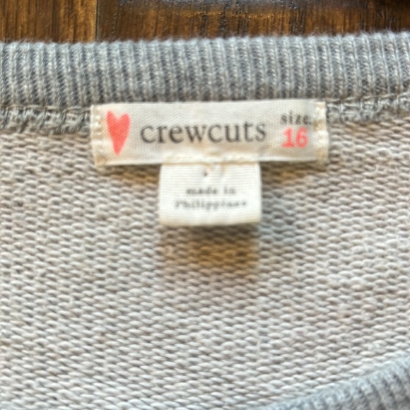 Crewcuts Gray Sweatshirt with Colorful New York Design - Picture 4 of 5